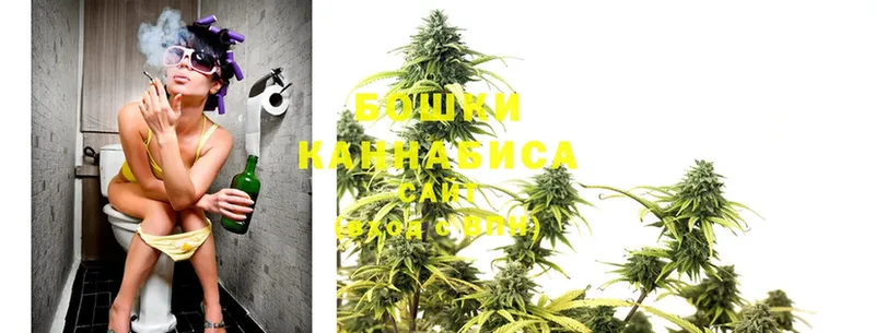 где найти наркотики  Всеволожск  Канабис White Widow 